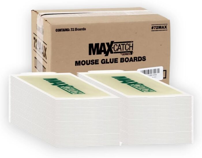 Pest Glue Trap by Catchmaster - 36 Boards Pre-Baited, Ready to Use Indoors. Rodent Mouse Rat Insect Sticky Adhesive Simple Easy Simple Non-Toxic - Made in the USA - Image 3