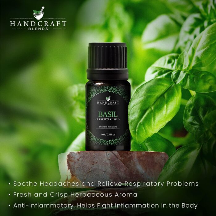 Handcraft Blends Basil Essential Oil - 100% Pure and Natural - Premium Grade Essential Oil for Diffuser and Aromatherapy - 0.33 Fl Oz - Image 3