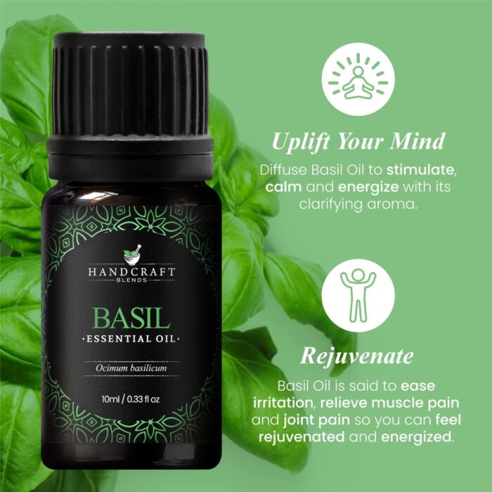 Handcraft Blends Basil Essential Oil - 100% Pure and Natural - Premium Grade Essential Oil for Diffuser and Aromatherapy - 0.33 Fl Oz - Image 4