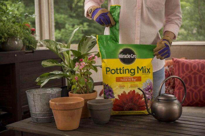 Miracle-Gro Potting Mix, 8 qt. (2 Pack) - Image 2