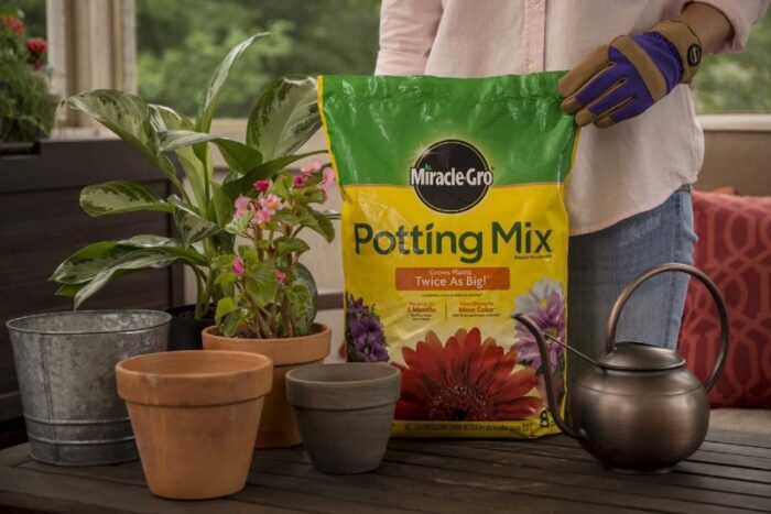 Miracle-Gro Potting Mix, 8 qt. (2 Pack) - Image 5