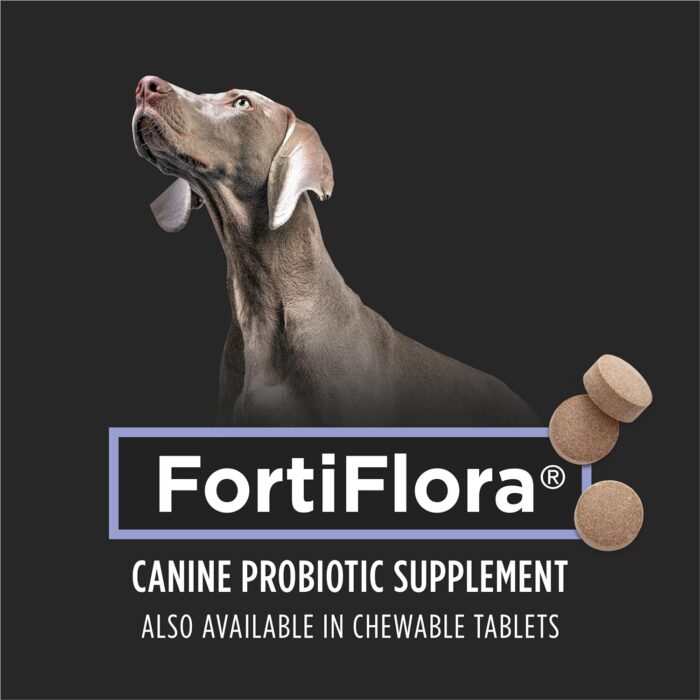 Purina Pro Plan Veterinary Supplements FortiFlora Dog Probiotic Supplement, Canine Nutritional Supplement - (1) 30 ct. Boxes - Image 3