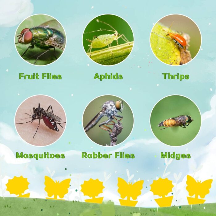 Fruit Fly Traps Fungus Gnat Traps Yellow Sticky Bug Traps 36 Pack Non-Toxic and Odorless for Indoor Outdoor Use Protect The Plant - Image 5