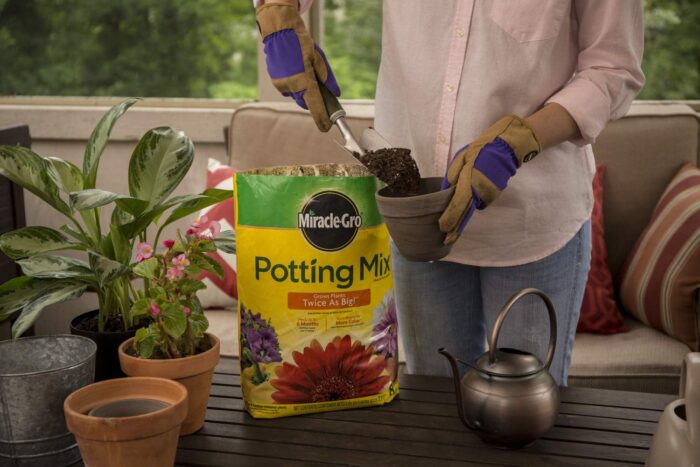 Miracle-Gro Potting Mix, 8 qt. (2 Pack) - Image 3