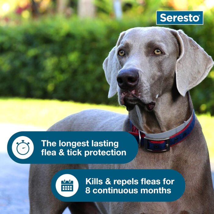 Seresto Large Dog Vet-Recommended Flea & Tick Treatment & Prevention Collar for Dogs Over 18 lbs. | 8 Months Protection - Image 5