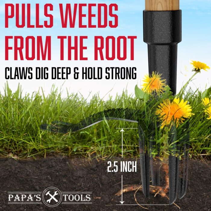 Papa's Weeder - Stand Up Weed Puller Tool Made with Long Wooden Handle - Real Bamboo & 4-Claw Steel Head - Easily Remove Weeds Effortlessly Without The Need to Tug, Bend, Or Flex, - Image 2