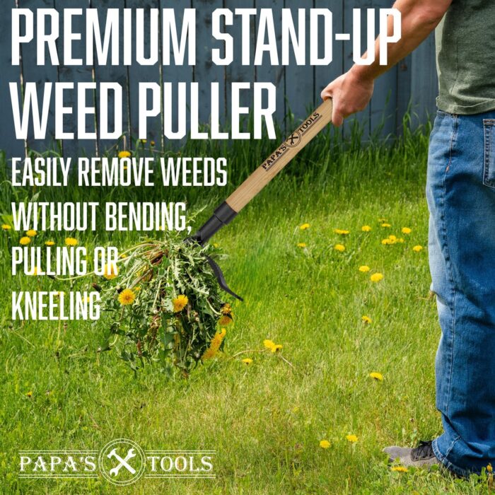 Papa's Weeder - Stand Up Weed Puller Tool Made with Long Wooden Handle - Real Bamboo & 4-Claw Steel Head - Easily Remove Weeds Effortlessly Without The Need to Tug, Bend, Or Flex, - Image 4